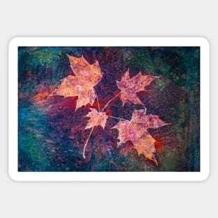 Autumn leaves cyanotype with rain drops 1 Sticker